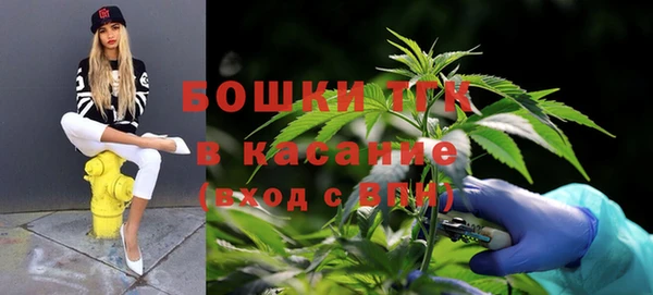 твердый Кукмор