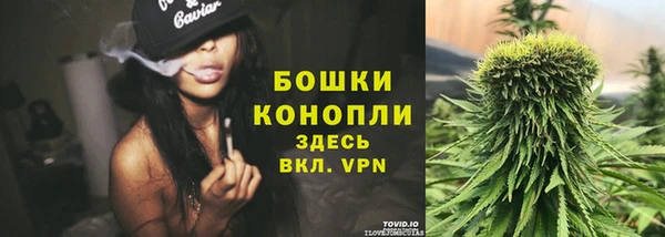 твердый Кукмор