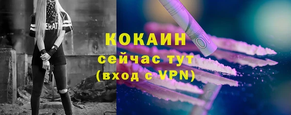 твердый Кукмор